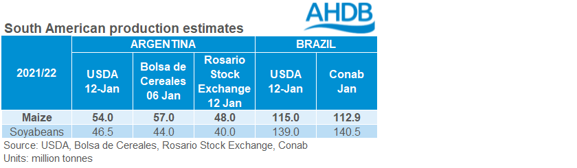 Table displaying USAD South American soy and maize production estimates vs local reporters